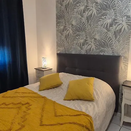 T3 Spacieux Lumineux Jardin Et Proche Du Tram Apartment *