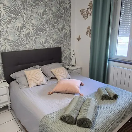 Apartment T3 Spacieux Lumineux Jardin Et Proche Du Tram Pont-de-la-Maye