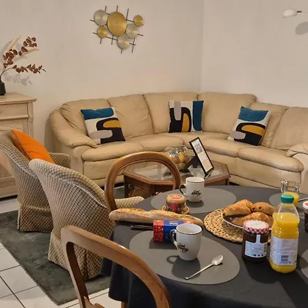 T3 Spacieux Lumineux Jardin Et Proche Du Tram Apartment *